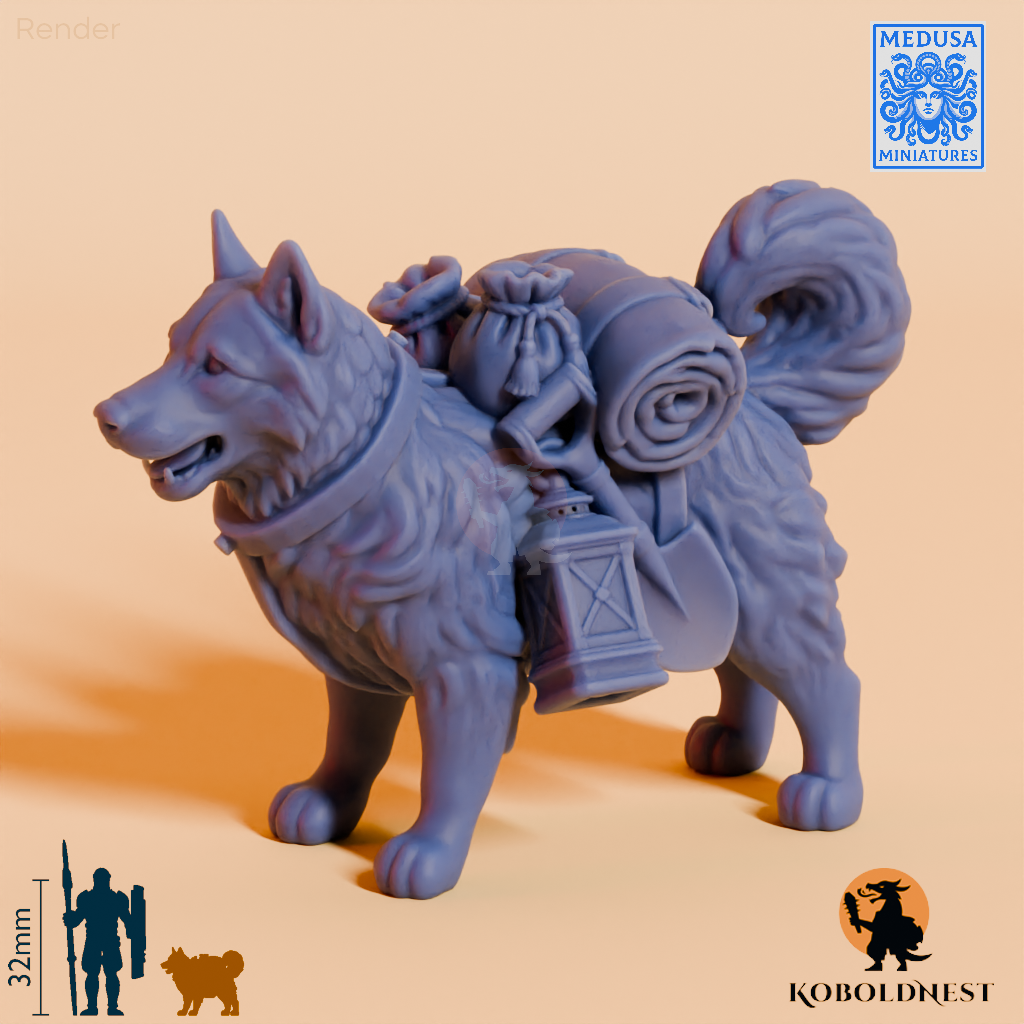 Husky-Adventurer_render_75pitch_300deg.png