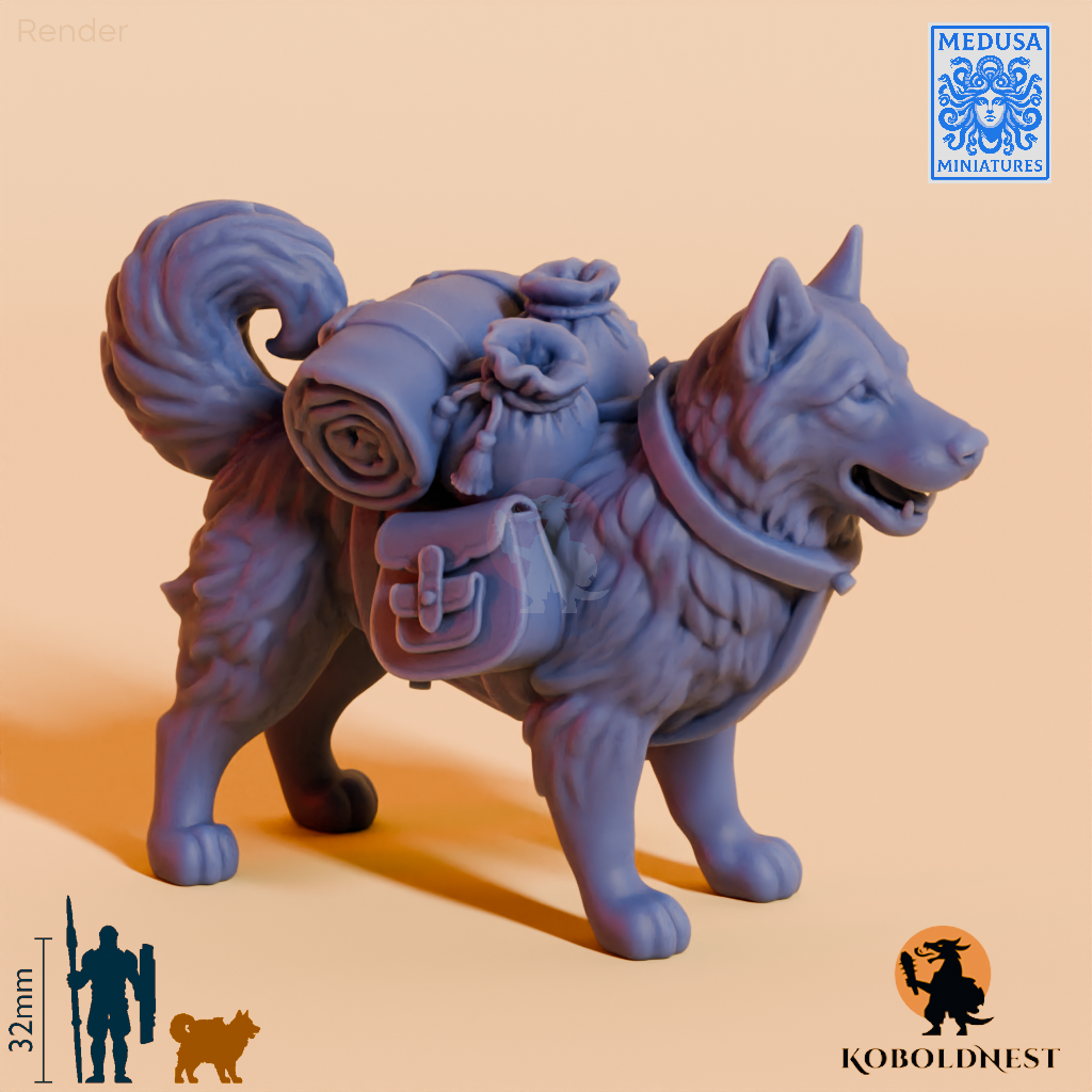 Husky-Adventurer_render_75pitch_60deg.png