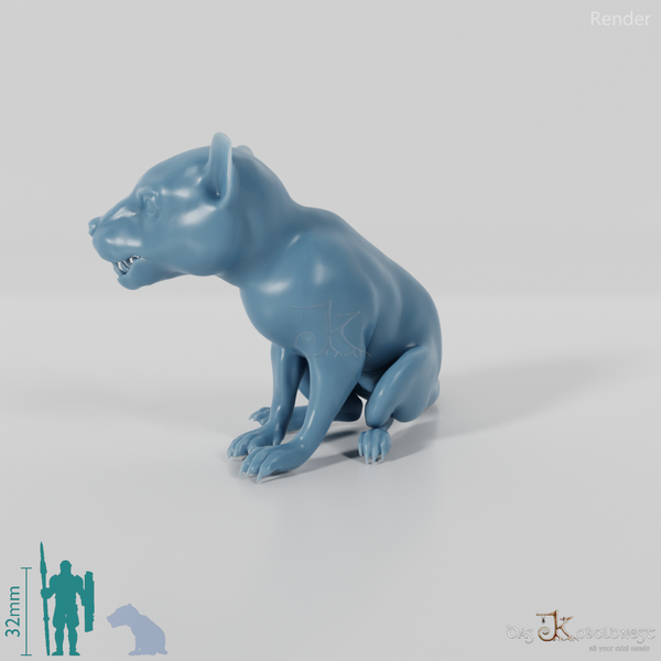 Hyaenodon gigas 06 (Jungtier) - JJP