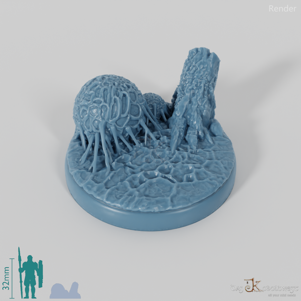 Spinnenwald-Bases 1 (Rund)