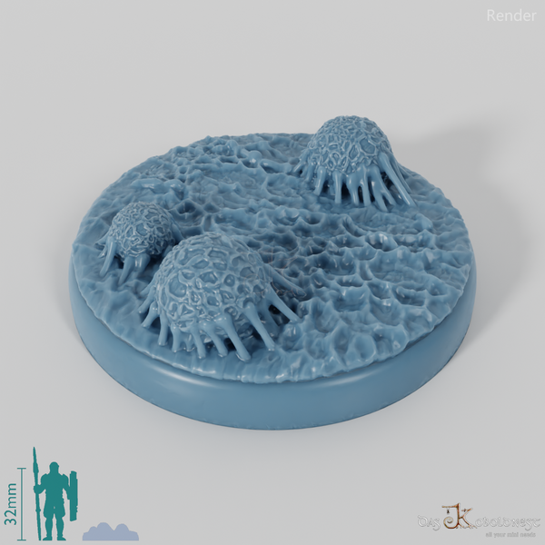 Spinnenwald-Bases 2 (Rund)