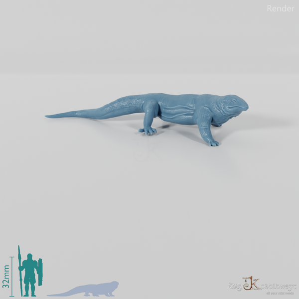 Waran - Komodowaran 02