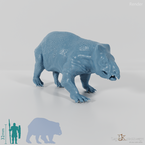 Lisowicia bojani 01 - JJP