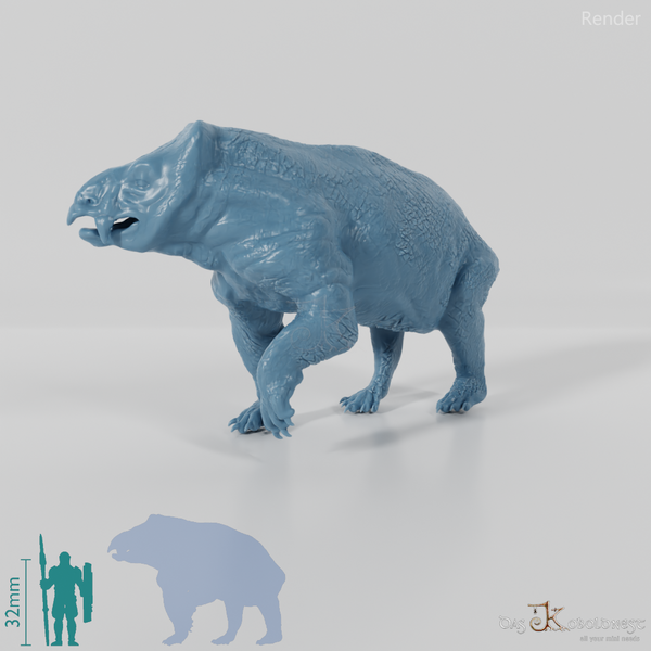 Lisowicia bojani 04 - JJP