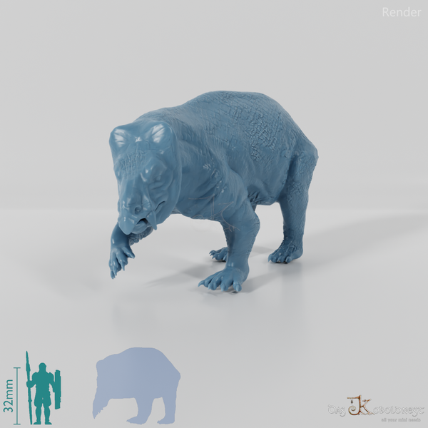 Lisowicia bojani 06 - JJP