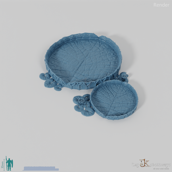 Gigantisches Seerosenblatt 02