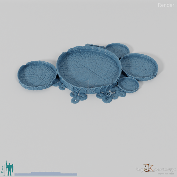 Gigantisches Seerosenblatt 03