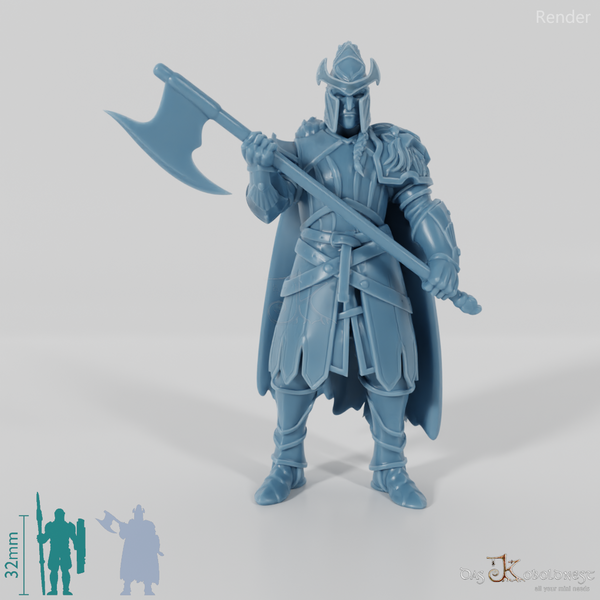 High Elf Lion Clan Fighter 01