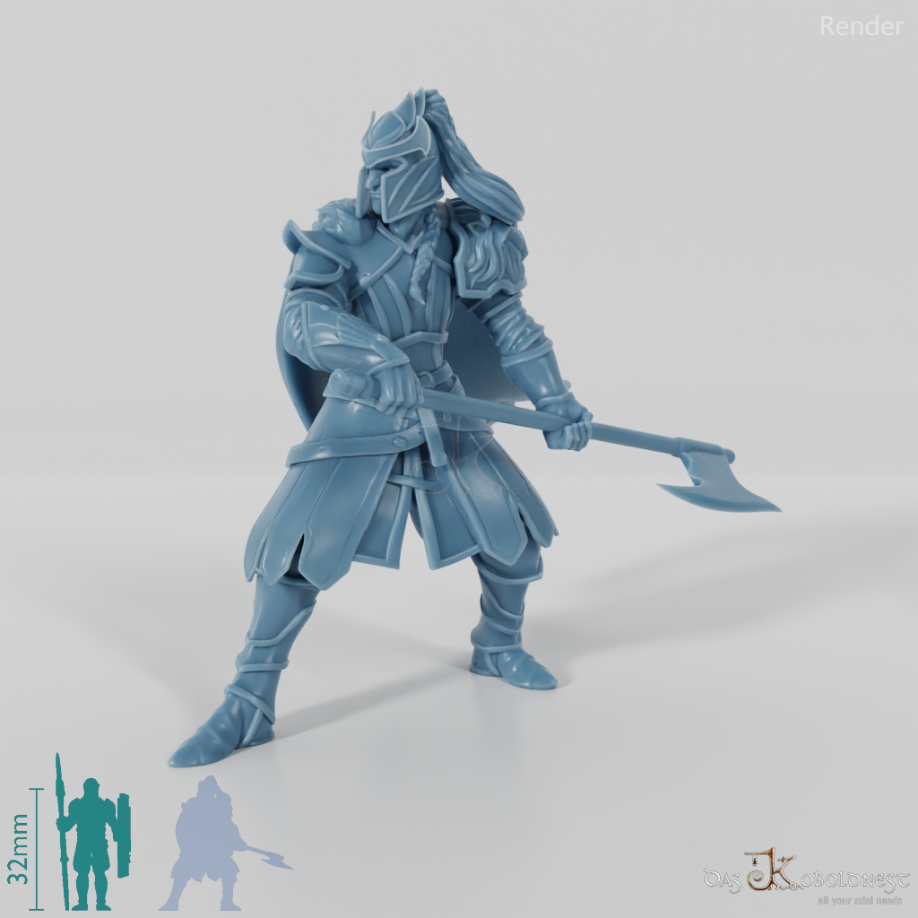 High Elf Lion Clan Fighter 02