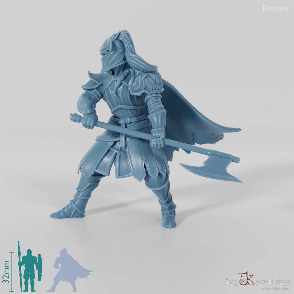 High Elf Lion Clan Fighter 02