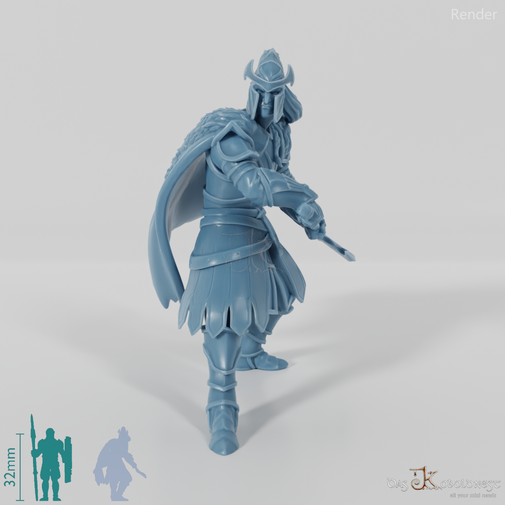 High Elf Lion Clan Fighter 02