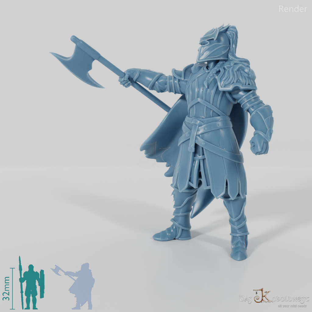 High Elf Lion Clan Fighter 03