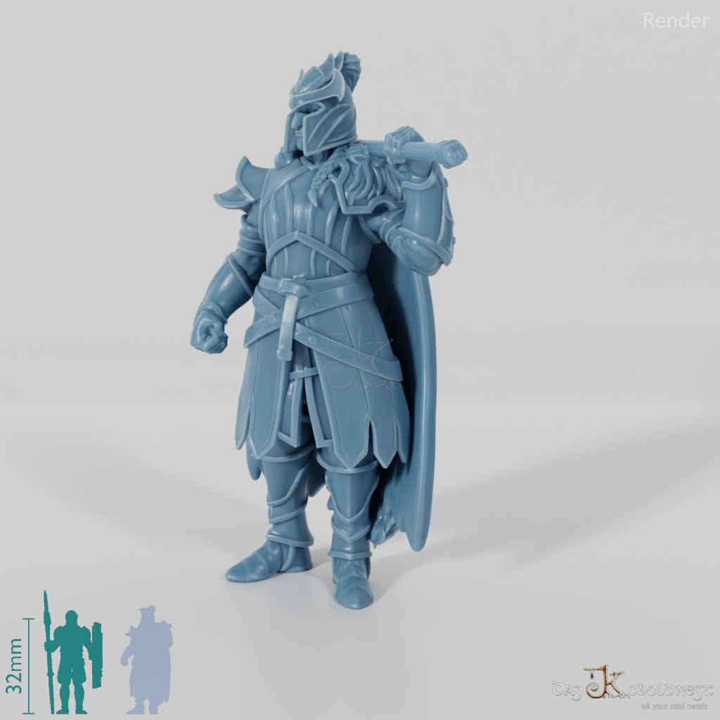 High Elf Lion Clan Fighter 04