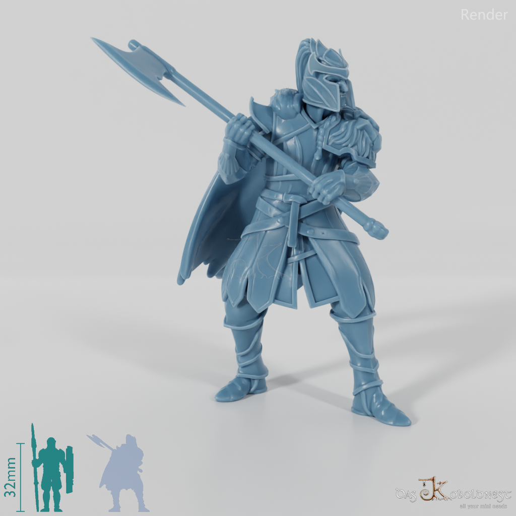 High Elf Lion Clan Fighter 05