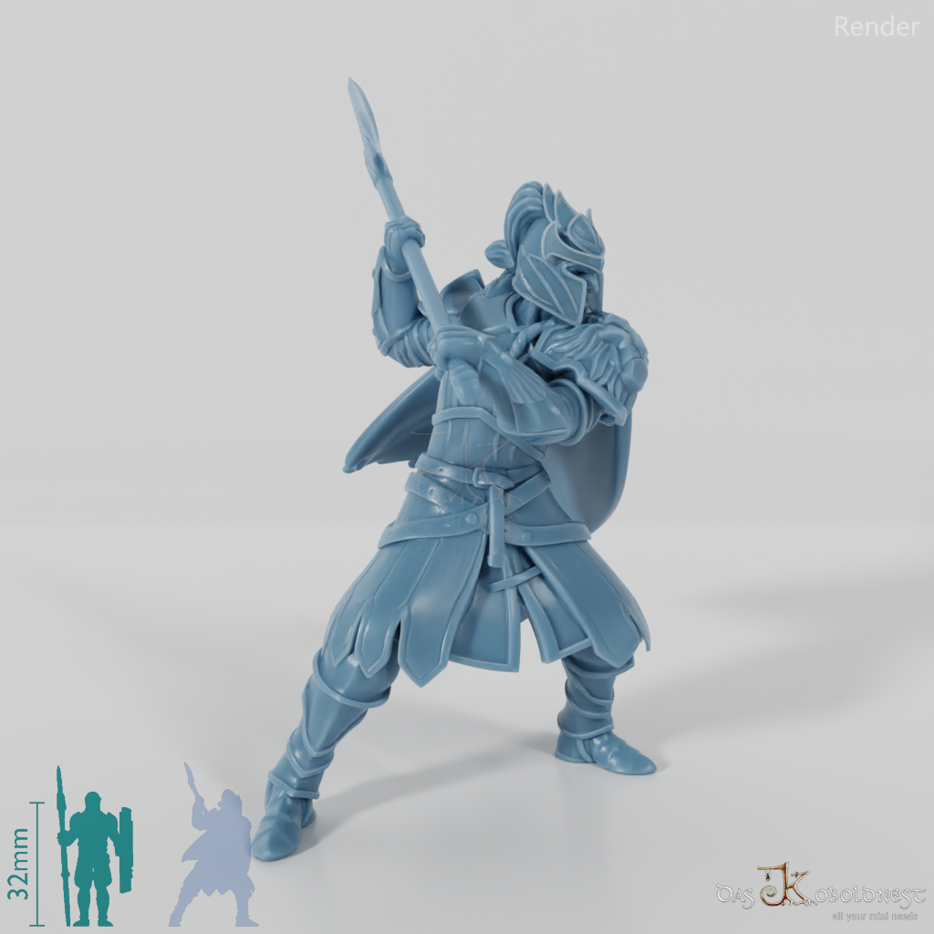 High Elf Lion Clan Fighter 06