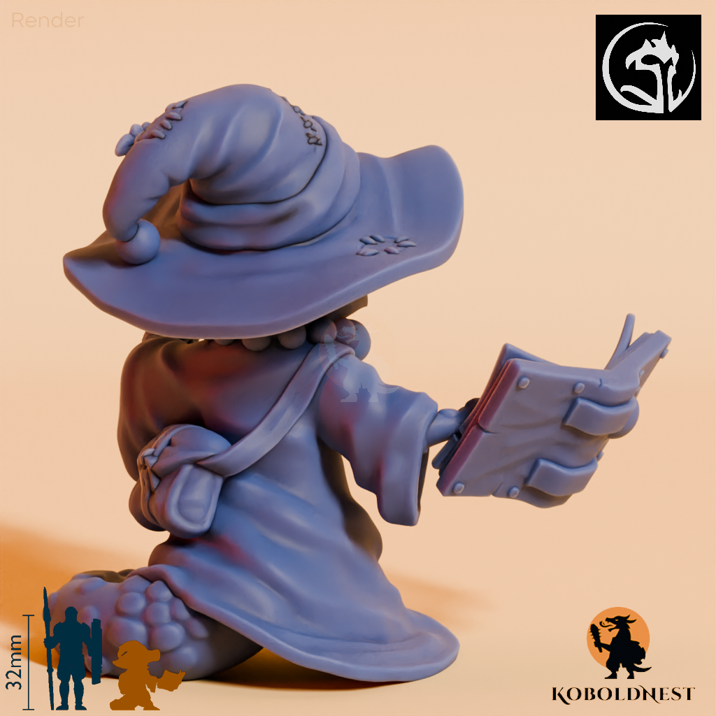 Lizard-Whimsy-Mage_render_80pitch_180deg.png