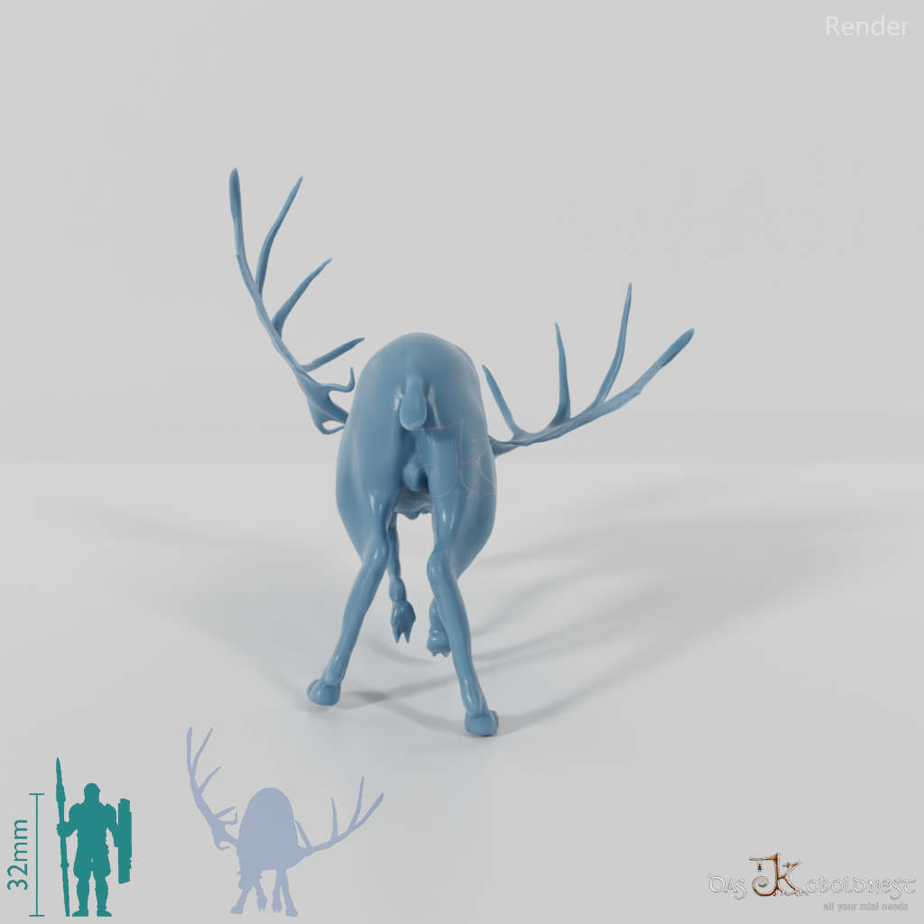 Megaloceros giganteus 02 - JJP