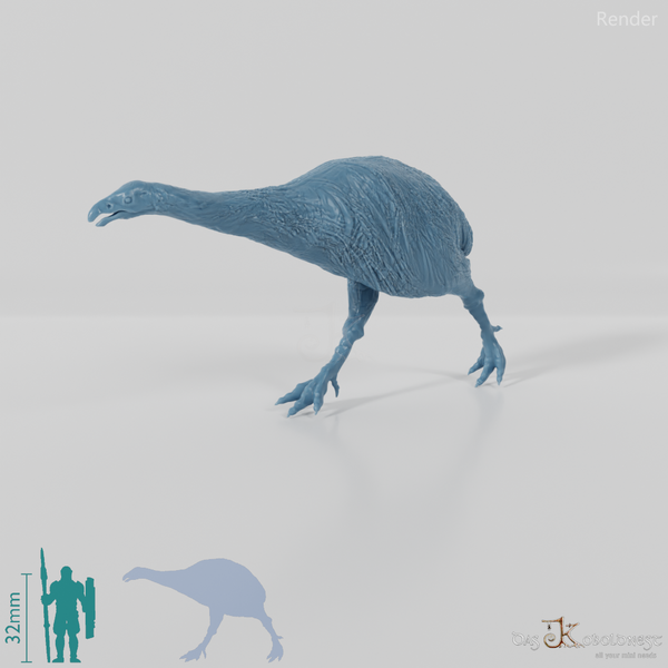 Dinornis novazaelandiae 02 (Weibchen) - JJP