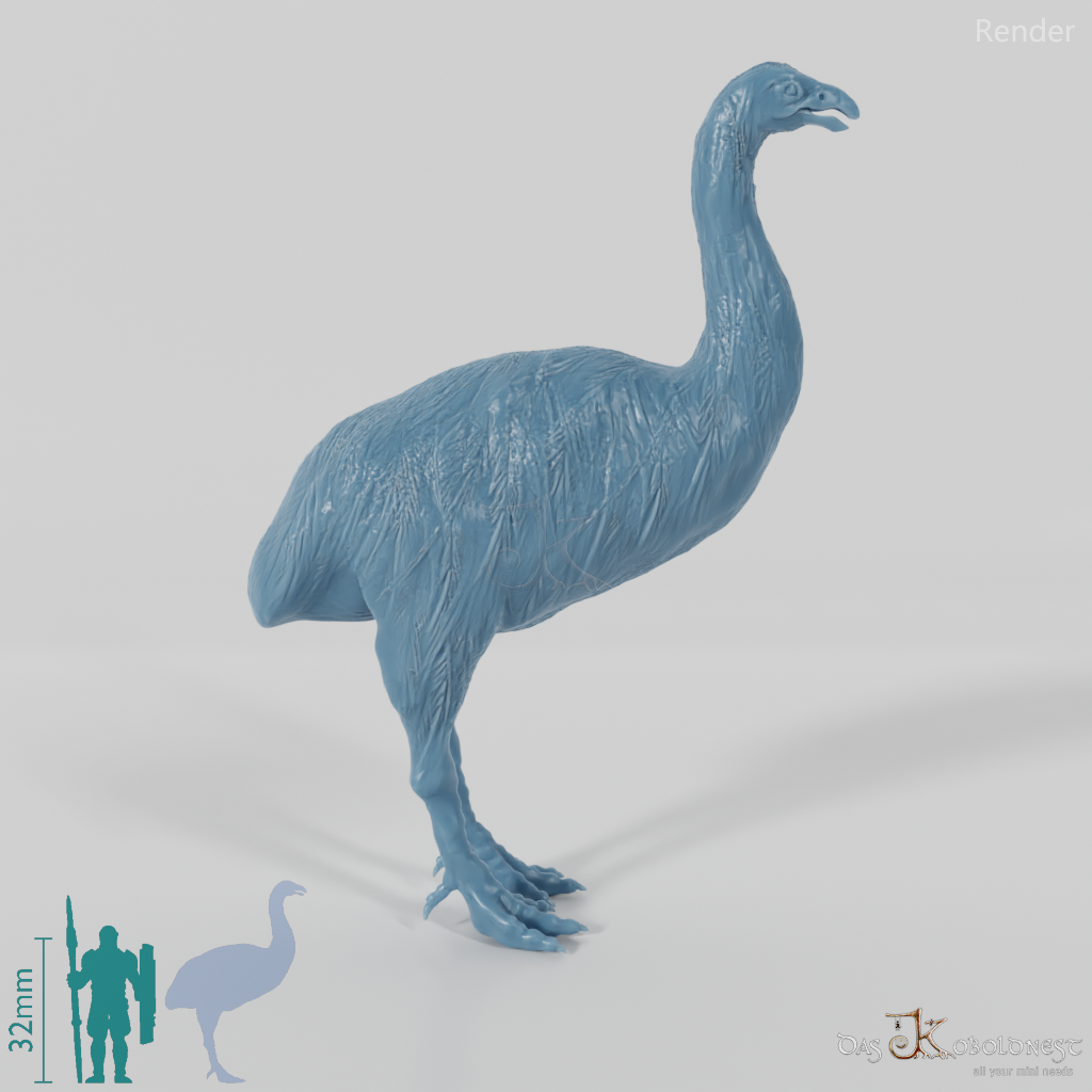 Dinornis novazaelandiae 03 (Männchen) - JJP