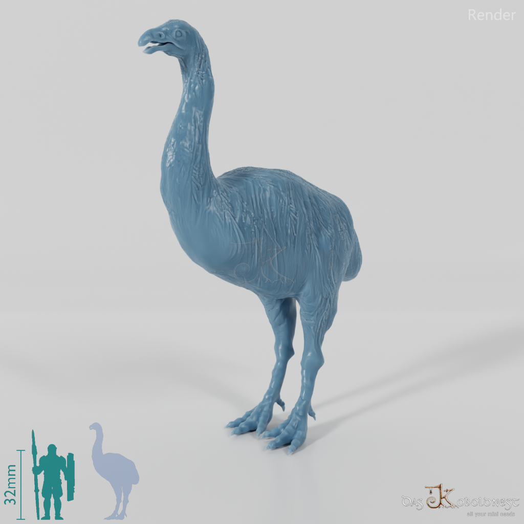 Dinornis novazaelandiae 03 (Männchen) - JJP