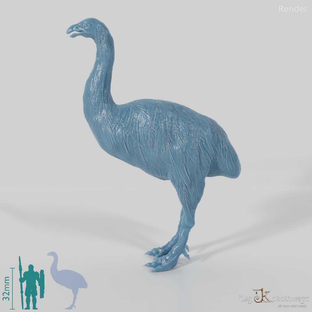 Dinornis novazaelandiae 03 (Männchen) - JJP