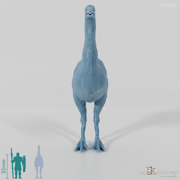 Dinornis novazaelandiae 03 (Männchen) - JJP