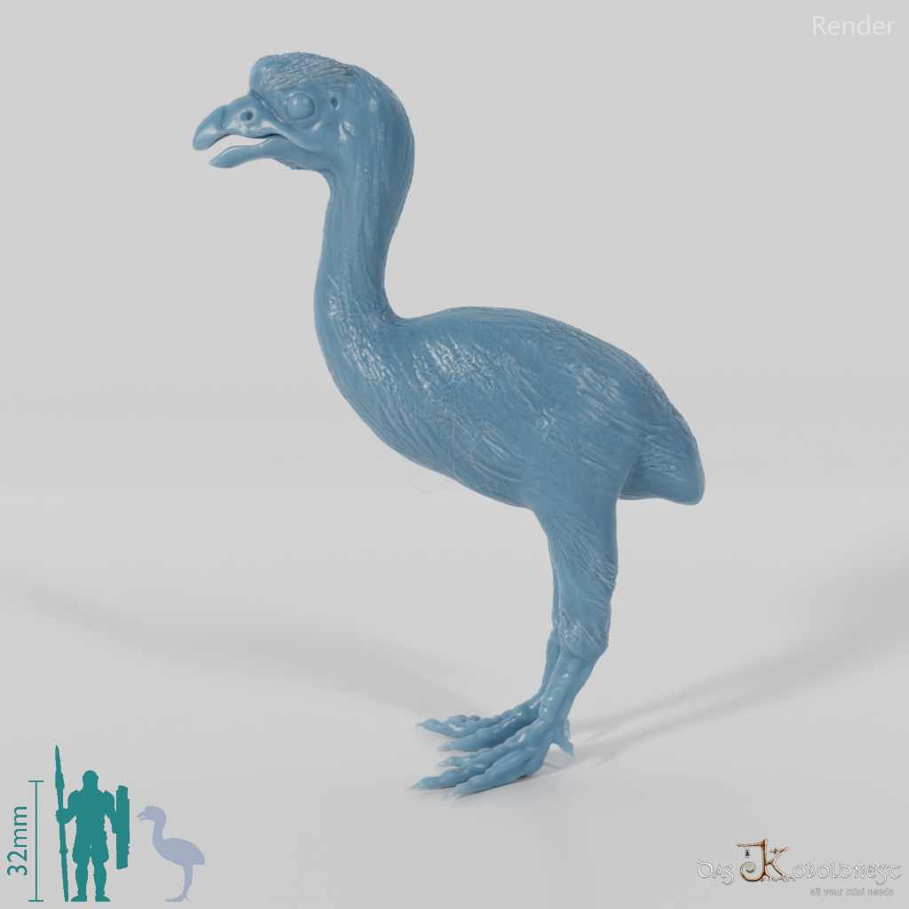 Dinornis novazaelandiae 06 (Jungtier) - JJP