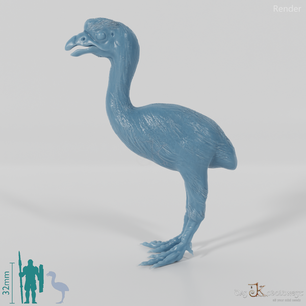 Dinornis novazaelandiae 06 (Jungtier) - JJP
