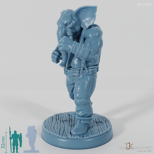 Elefantenvolk-Boxer 01