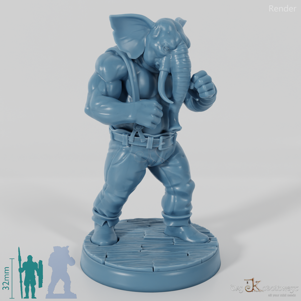 Elefantenvolk-Boxer 01