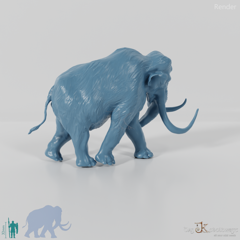 Mammuthus primigenius 02 - JJP