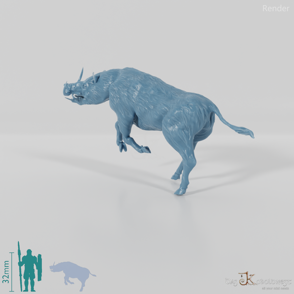 Metridiochoerus jacksoni 04 - JJP