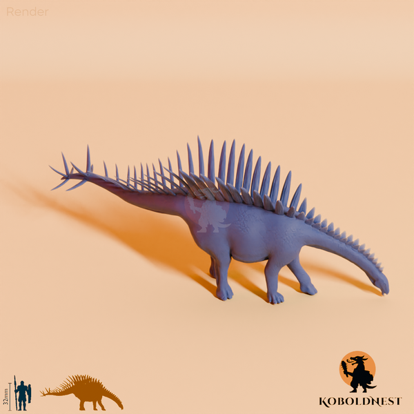Miragaia longicollum 02 - JJP