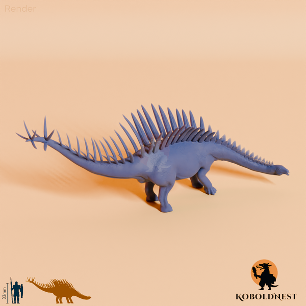 Miragaia longicollum 04 - JJP