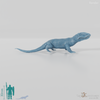 Ophiacodon spec. 06 (Jungtier) - JJP