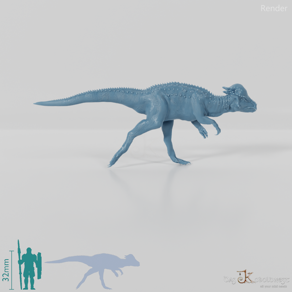 Pachycephalosaurus wyomingensis 04 - JJP