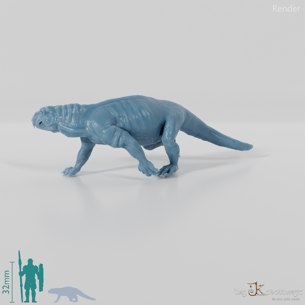 Pampaphoneus biccai 03 - JJP