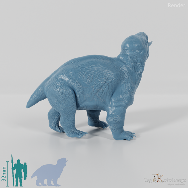 Placerias hesternus 04 - JJP