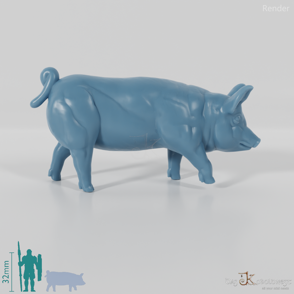 Hausschwein - Schwein 03