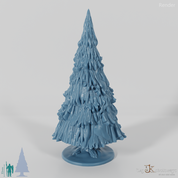 Verschneite große Tanne B