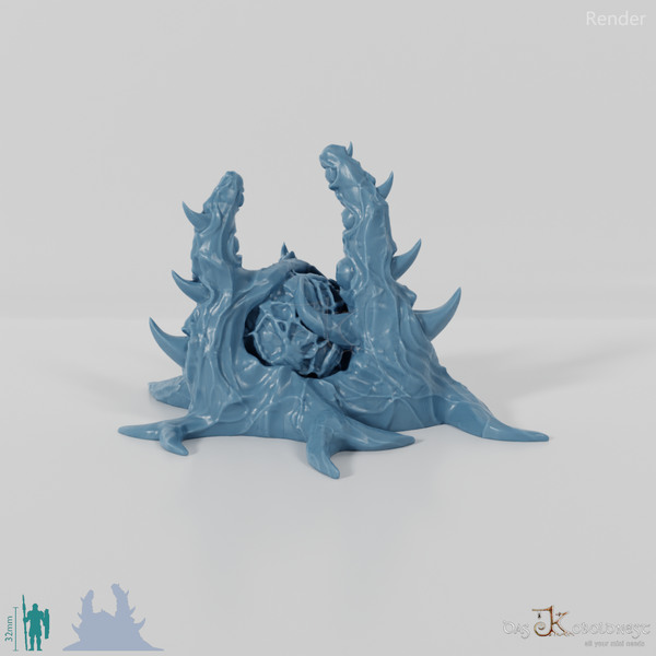 Große Stachelborke C