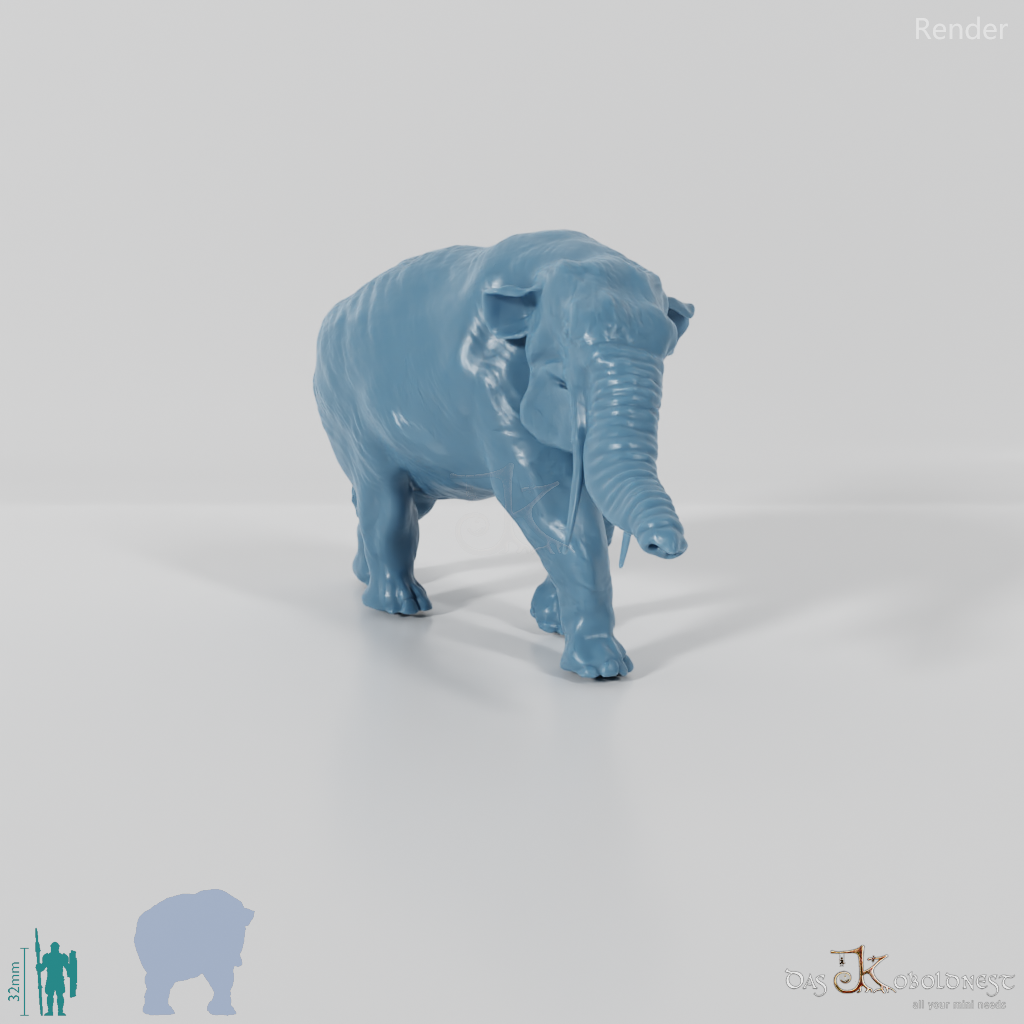 Platybelodon grangeri 01 - JJP