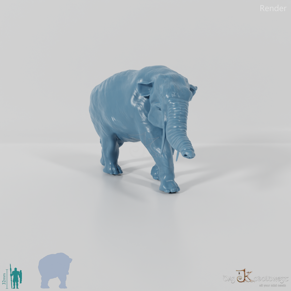 Platybelodon grangeri 01 - JJP