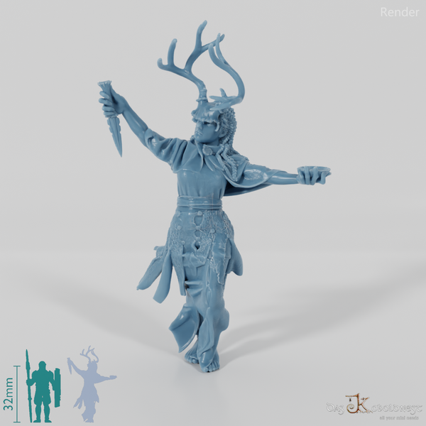 Wikinger-Priesterin des Rabenclans 01