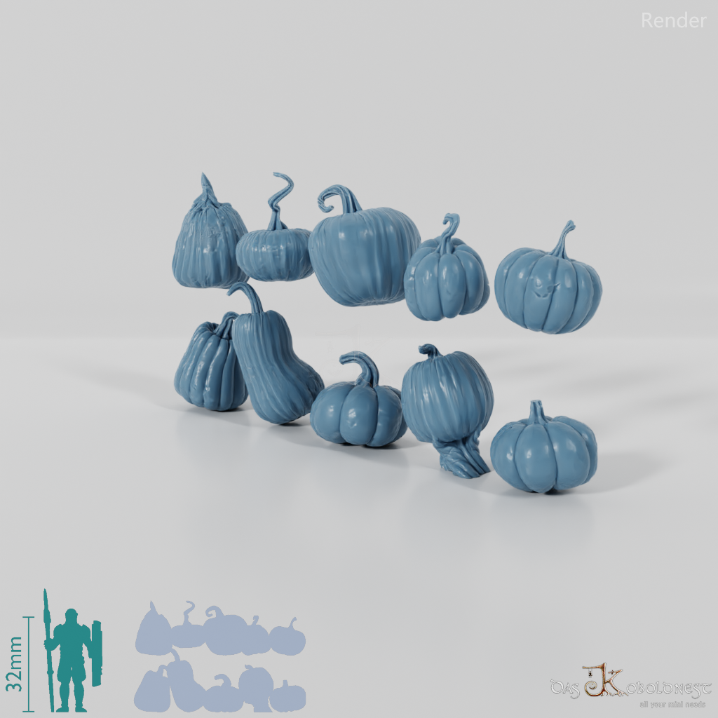 Herbstkürbisse - Komplettset