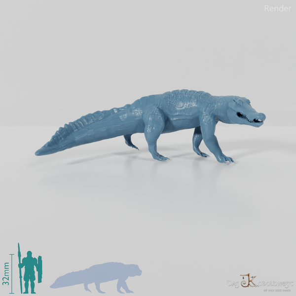 Quinkana fortirostrum 01 - JJP