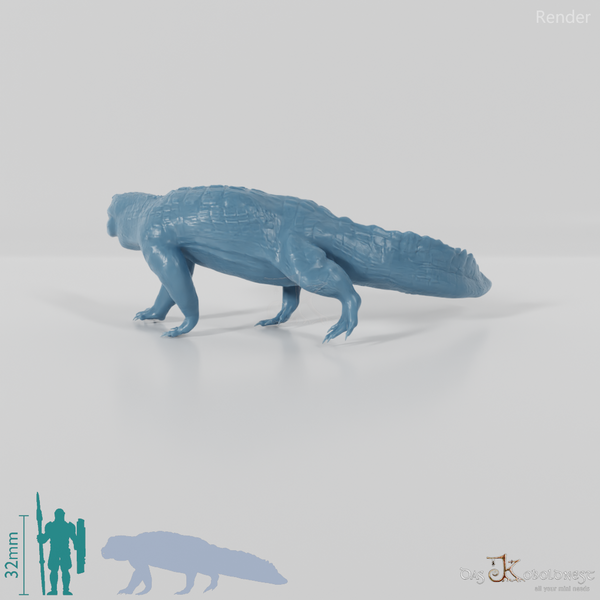 Quinkana fortirostrum 01 - JJP