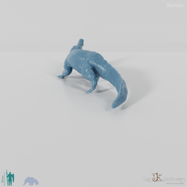 Quinkana fortirostrum 03 - JJP