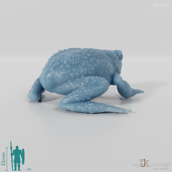 Kröte - Wartende Kröte 01