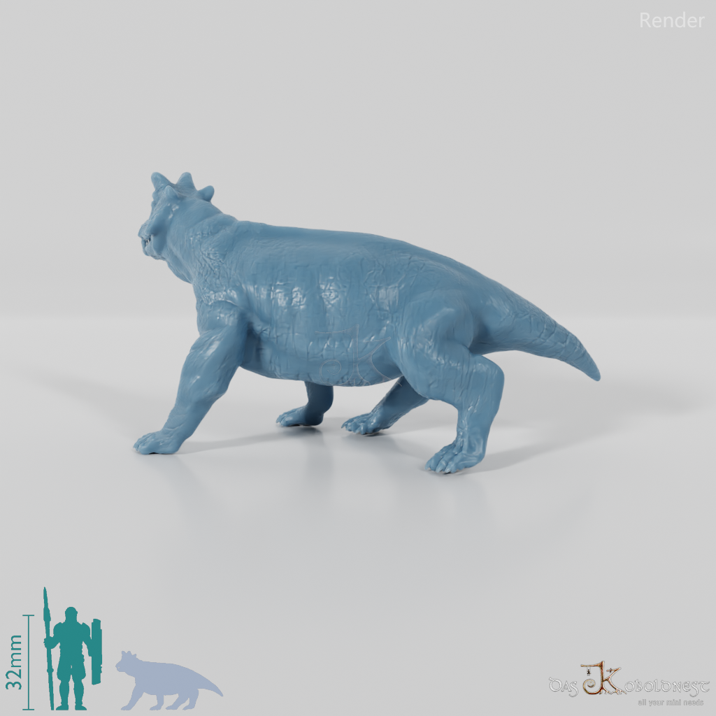 Styracocephalus platyrhynchus 01 - JJP